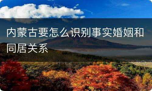 内蒙古要怎么识别事实婚姻和同居关系