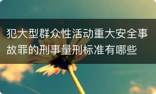 犯大型群众性活动重大安全事故罪的刑事量刑标准有哪些