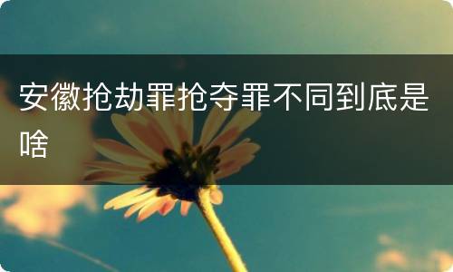 安徽抢劫罪抢夺罪不同到底是啥