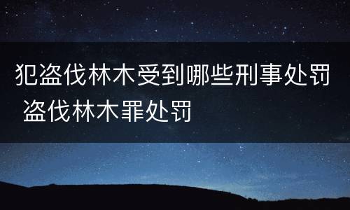 犯盗伐林木受到哪些刑事处罚 盗伐林木罪处罚