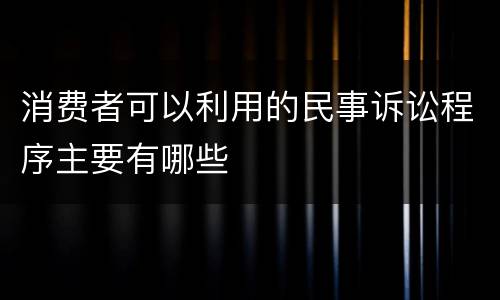 消费者可以利用的民事诉讼程序主要有哪些
