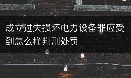 成立过失损坏电力设备罪应受到怎么样判刑处罚