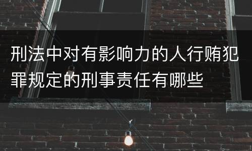 刑法中对有影响力的人行贿犯罪规定的刑事责任有哪些