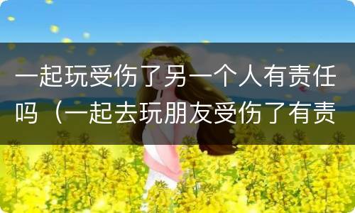 一起玩受伤了另一个人有责任吗（一起去玩朋友受伤了有责任吗）