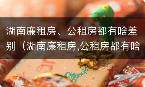 湖南廉租房、公租房都有啥差别（湖南廉租房,公租房都有啥差别吗）