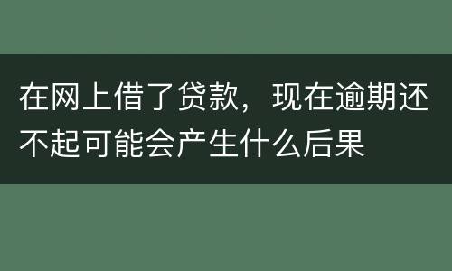 在网上借了贷款，现在逾期还不起可能会产生什么后果