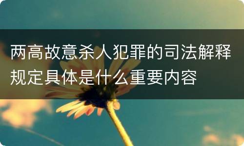 两高故意杀人犯罪的司法解释规定具体是什么重要内容
