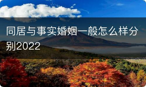 同居与事实婚姻一般怎么样分别2022