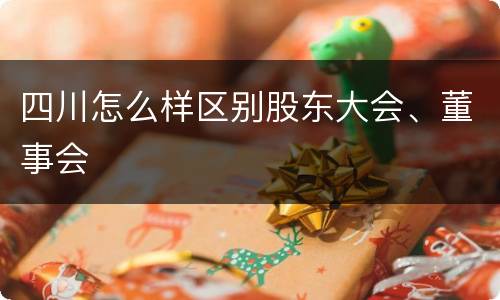 四川怎么样区别股东大会、董事会
