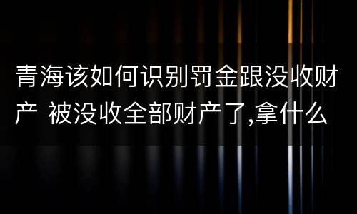 青海该如何识别罚金跟没收财产 被没收全部财产了,拿什么交罚金