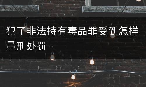 犯了非法持有毒品罪受到怎样量刑处罚