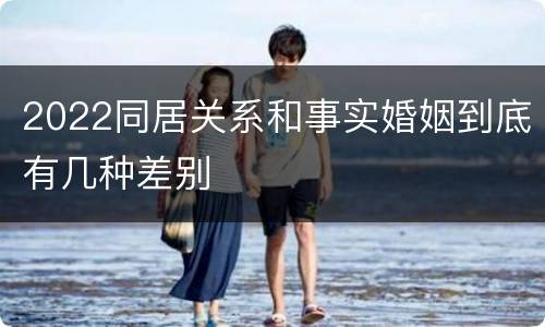 2022同居关系和事实婚姻到底有几种差别