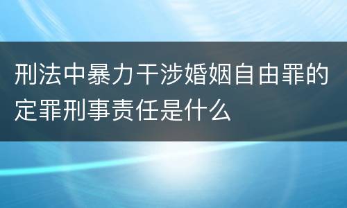 刑法中暴力干涉婚姻自由罪的定罪刑事责任是什么