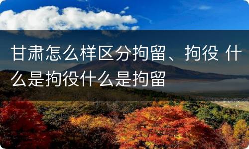 甘肃怎么样区分拘留、拘役 什么是拘役什么是拘留