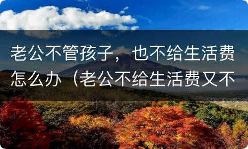 老公不管孩子，也不给生活费怎么办（老公不给生活费又不养孩孩子）