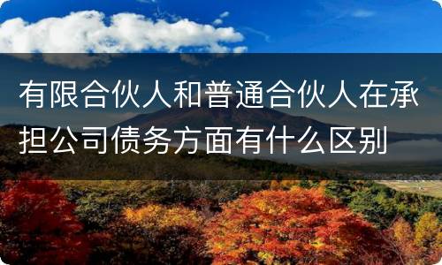 有限合伙人和普通合伙人在承担公司债务方面有什么区别