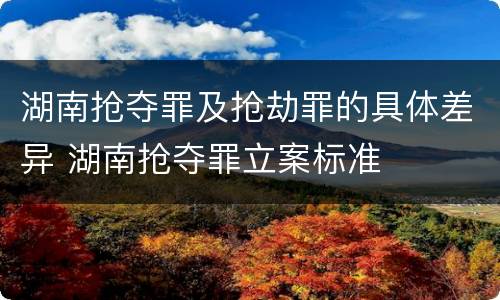 湖南抢夺罪及抢劫罪的具体差异 湖南抢夺罪立案标准