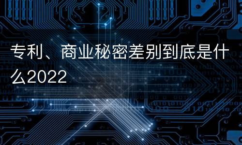 专利、商业秘密差别到底是什么2022
