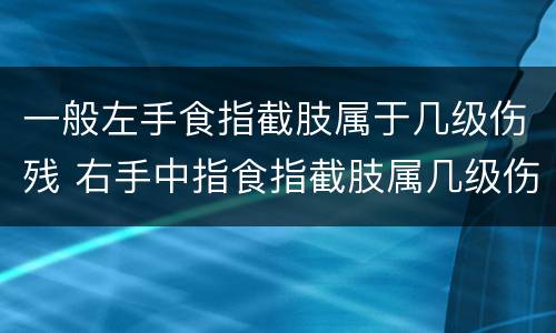 一般左手食指截肢属于几级伤残 右手中指食指截肢属几级伤残