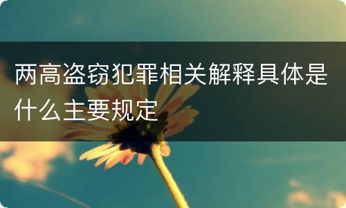 两高盗窃犯罪相关解释具体是什么主要规定