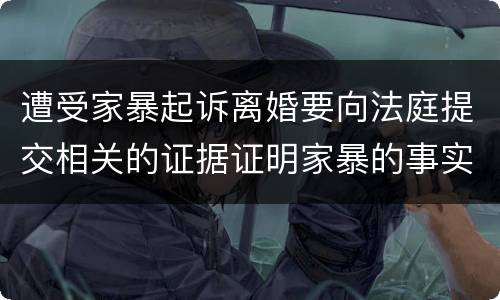遭受家暴起诉离婚要向法庭提交相关的证据证明家暴的事实有哪些