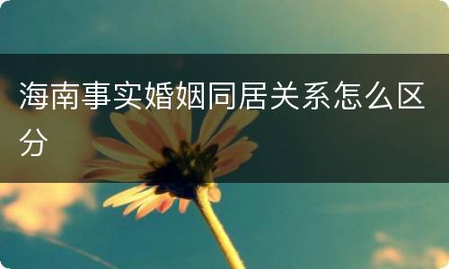 海南事实婚姻同居关系怎么区分