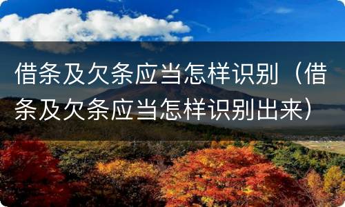 借条及欠条应当怎样识别（借条及欠条应当怎样识别出来）
