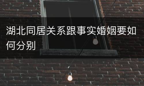 湖北同居关系跟事实婚姻要如何分别
