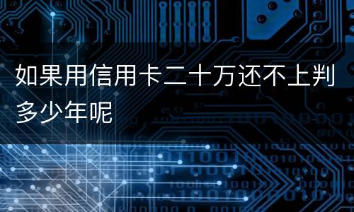 如果用信用卡二十万还不上判多少年呢