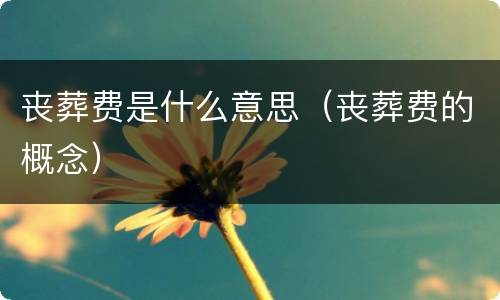 丧葬费是什么意思（丧葬费的概念）