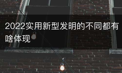 2022实用新型发明的不同都有啥体现