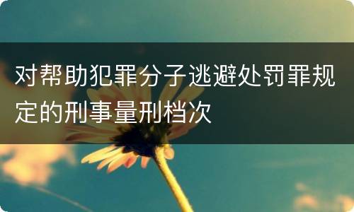 对帮助犯罪分子逃避处罚罪规定的刑事量刑档次