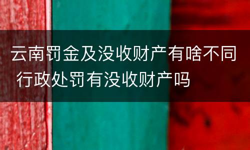 云南罚金及没收财产有啥不同 行政处罚有没收财产吗