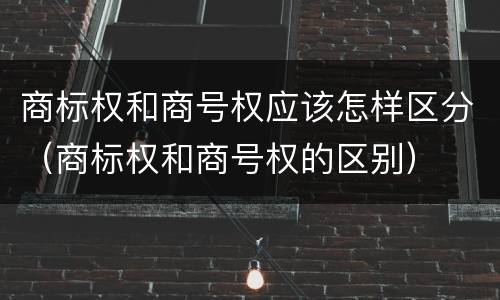 商标权和商号权应该怎样区分（商标权和商号权的区别）