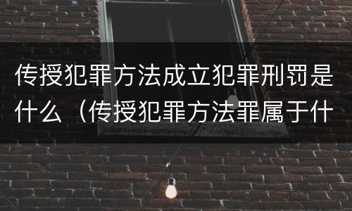 传授犯罪方法成立犯罪刑罚是什么（传授犯罪方法罪属于什么犯罪类型）