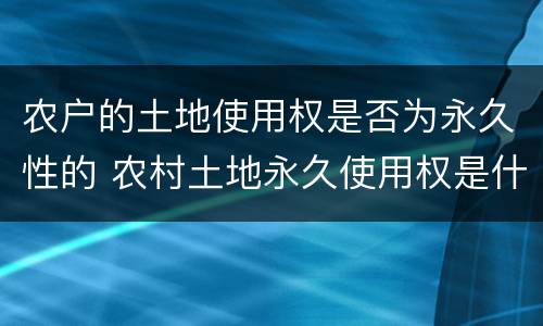 农户的土地使用权是否为永久性的 农村土地永久使用权是什么意思
