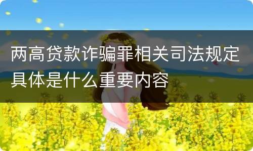 两高贷款诈骗罪相关司法规定具体是什么重要内容