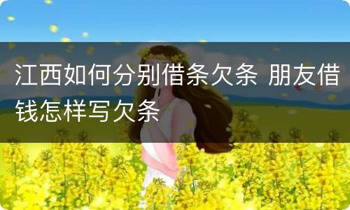 江西如何分别借条欠条 朋友借钱怎样写欠条