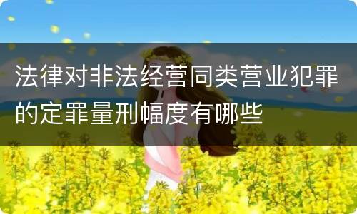 法律对非法经营同类营业犯罪的定罪量刑幅度有哪些