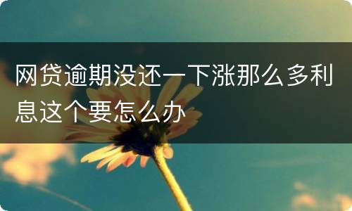 网贷逾期没还一下涨那么多利息这个要怎么办