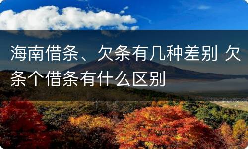 海南借条、欠条有几种差别 欠条个借条有什么区别