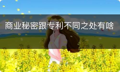 商业秘密跟专利不同之处有啥