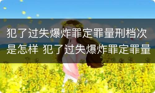 犯了过失爆炸罪定罪量刑档次是怎样 犯了过失爆炸罪定罪量刑档次是怎样算的