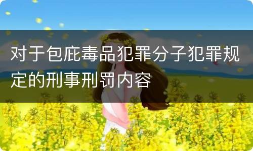 对于包庇毒品犯罪分子犯罪规定的刑事刑罚内容