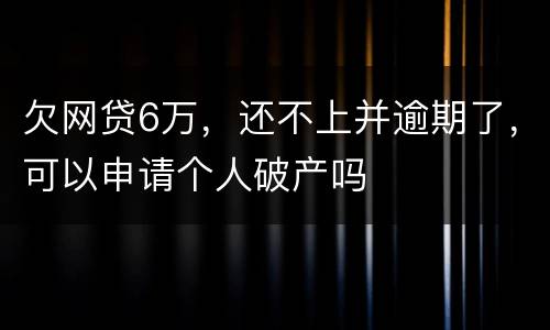 欠网贷6万，还不上并逾期了，可以申请个人破产吗