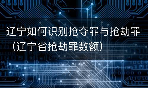 辽宁如何识别抢夺罪与抢劫罪（辽宁省抢劫罪数额）