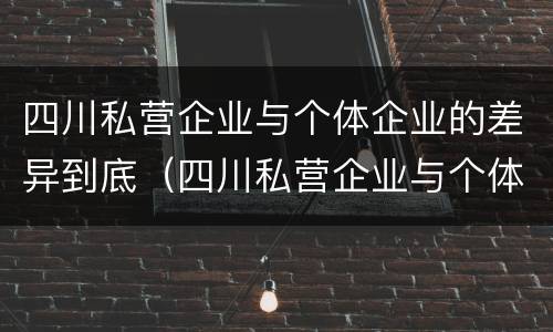 四川私营企业与个体企业的差异到底（四川私营企业与个体企业的差异到底多大）