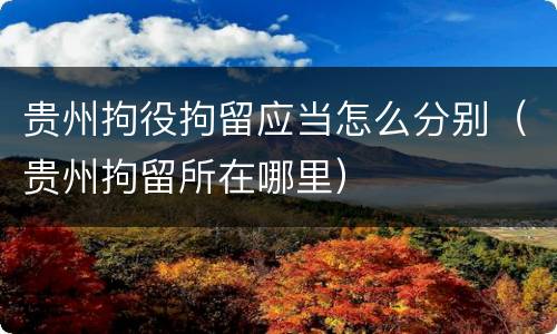 贵州拘役拘留应当怎么分别（贵州拘留所在哪里）