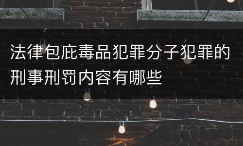 法律包庇毒品犯罪分子犯罪的刑事刑罚内容有哪些