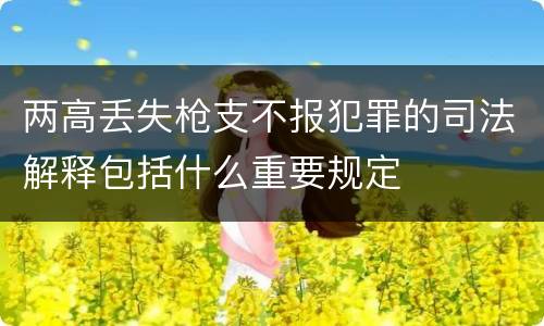 两高丢失枪支不报犯罪的司法解释包括什么重要规定